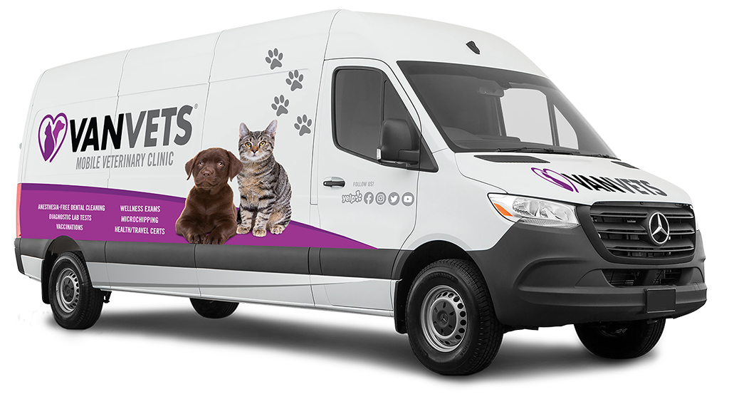 VanVets mobile veterinary clinic