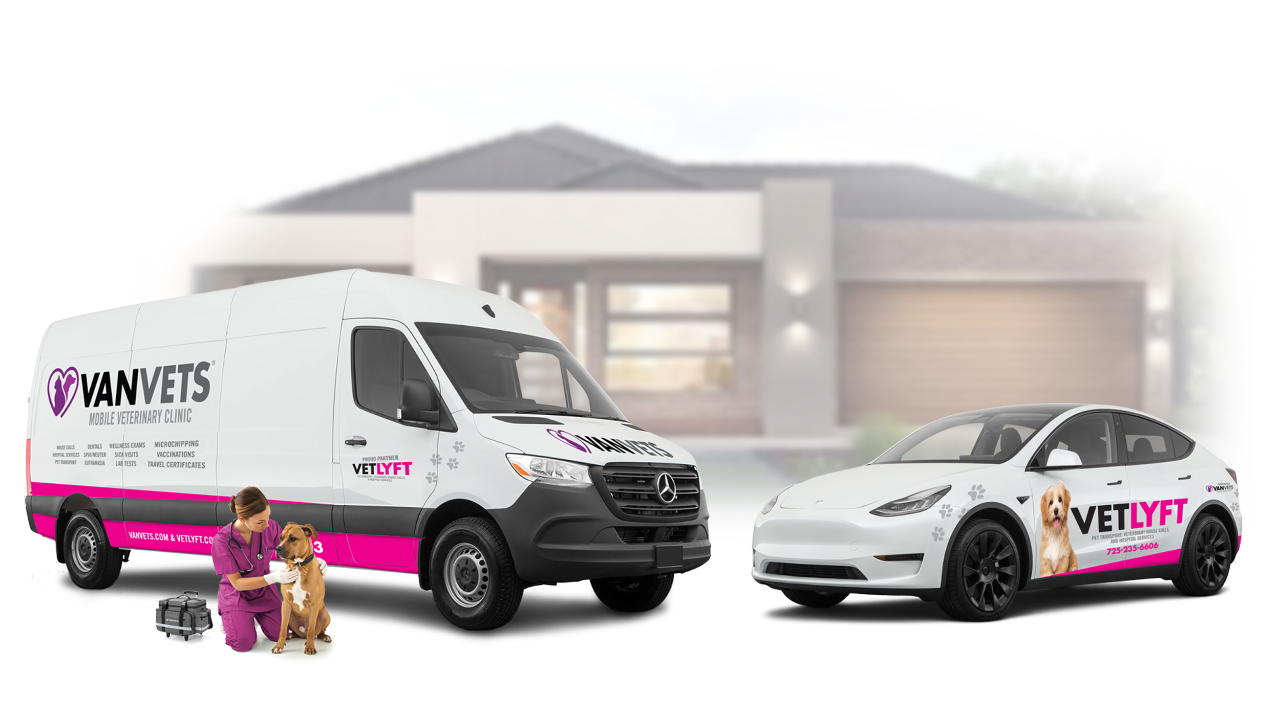 Mobile Veterinary Services Traveling Vet Buy Mobile Pet Vet Clinic