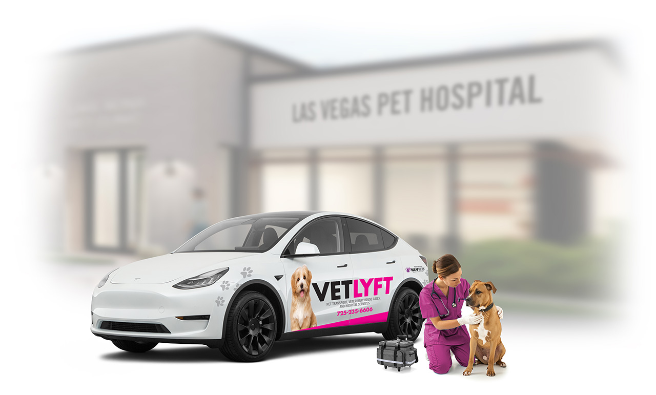 VETLYFT mobile paw transport vehicle and vet in front of hospital