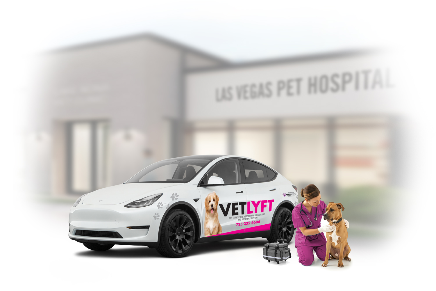 VETLYFT Pet Transport service.